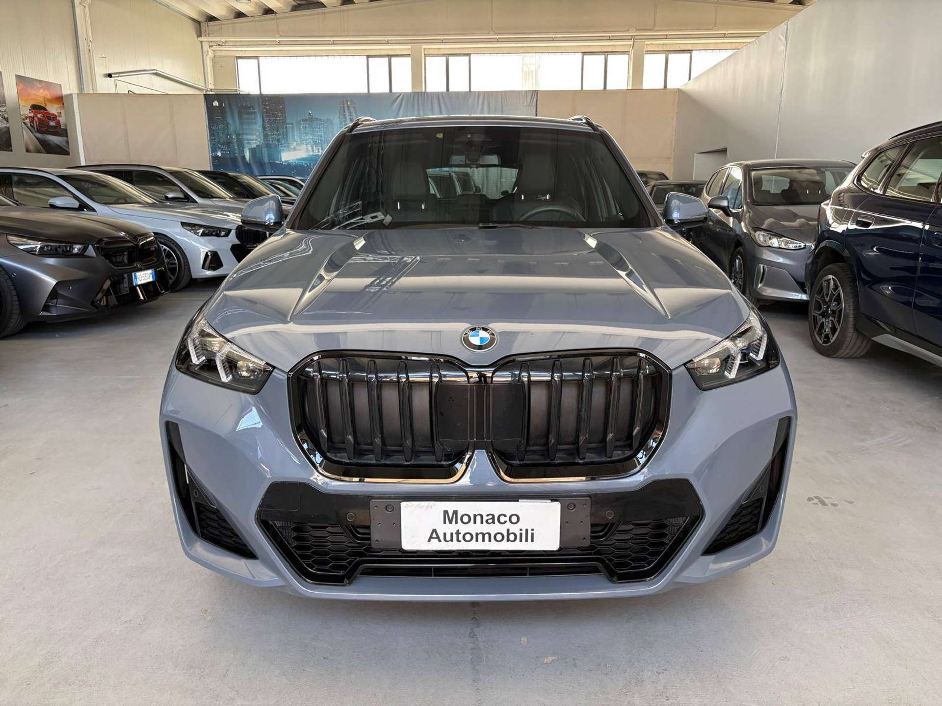 X1 U11 sdrive18d MSport Pro auto